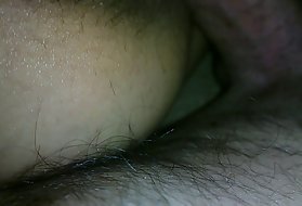 سبزه به خوبی آموخته به کار گربه